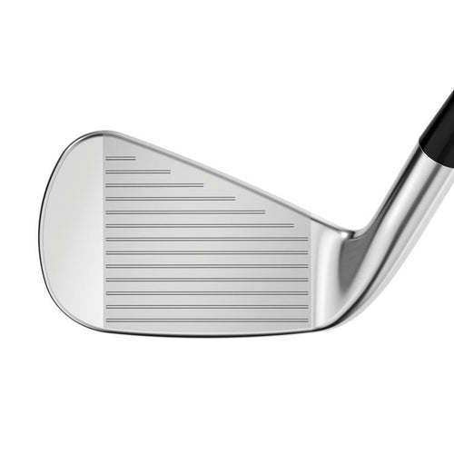 Apex Pro 21 Eisen