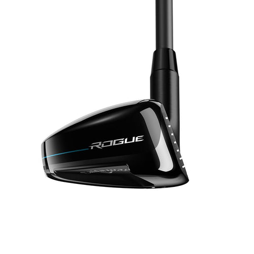 Rogue Hybrid