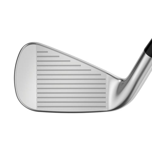 Apex 21 Eisen