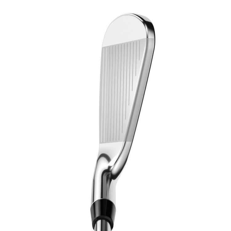 Rogue ST Pro Eisen