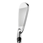 Rogue ST Pro Eisen
