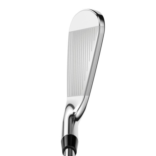 Rogue ST Pro Eisen