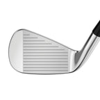 Apex Pro 21 Eisen