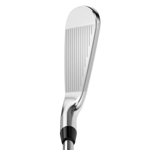 Apex Pro 21 Eisen