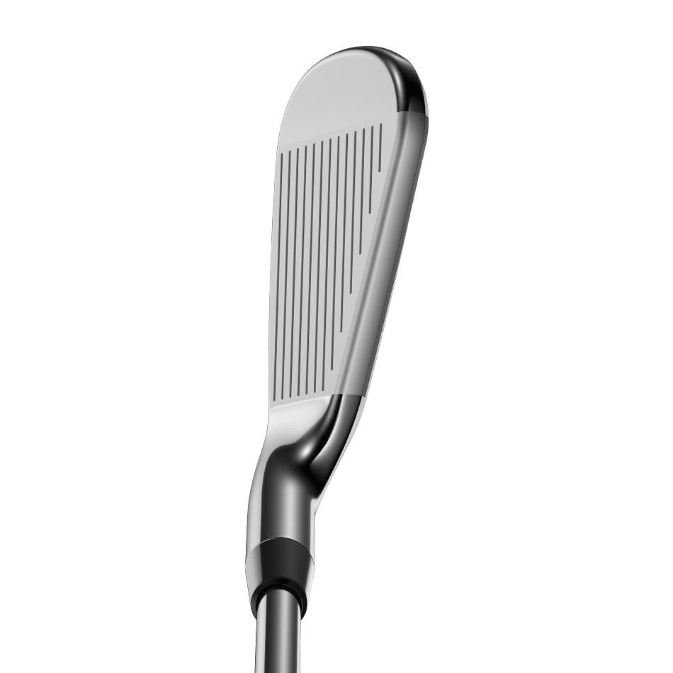 Rogue Pro 18 Eisen