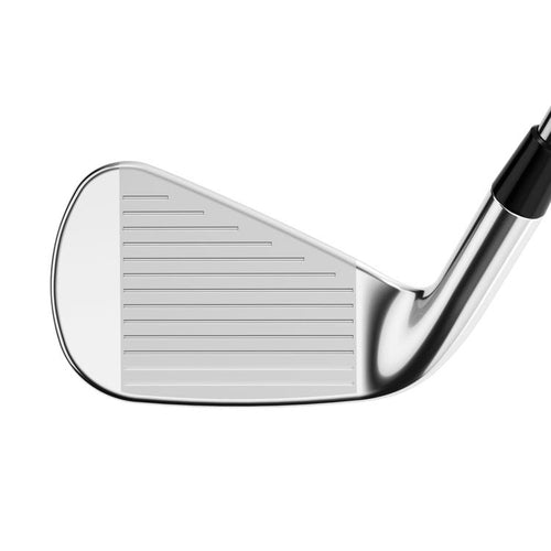 Rogue ST Pro Eisen