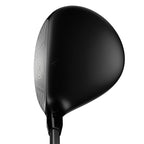 Great Big Bertha Fairway-Holz