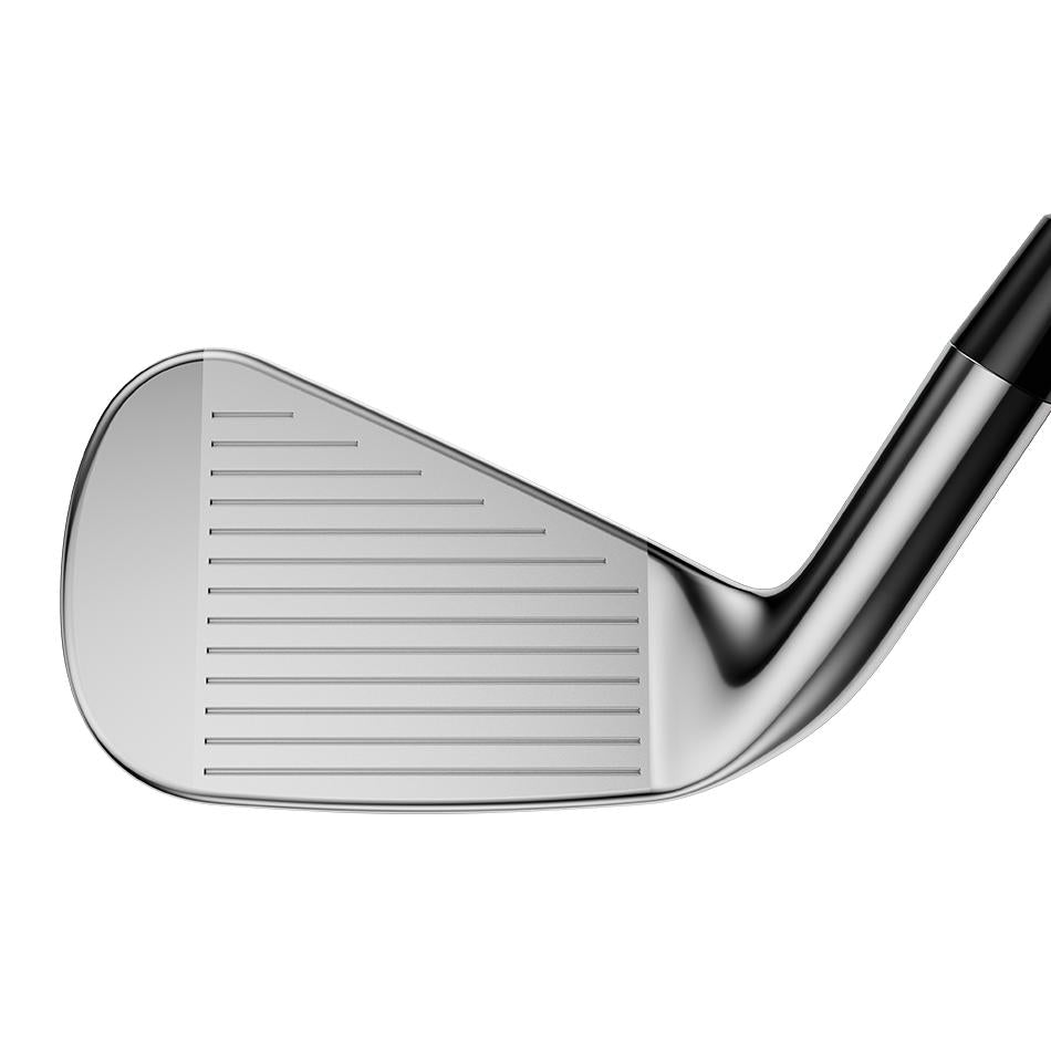 Rogue Pro 18 Eisen